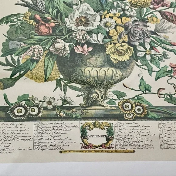 2 Framed Matted Vintage Floral Flower Botanical Bouquet Prints Litho Robert Furb - Picture 5 of 14